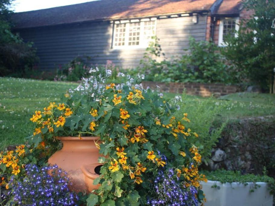 Oak House Farm Leilighet Edenbridge Eksteriør bilde